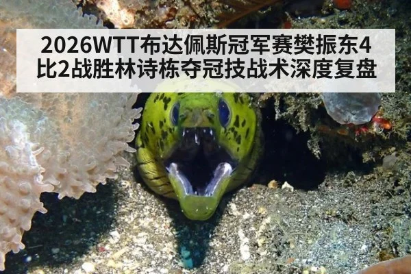 2026WTT布达佩斯冠军赛樊振东4比2战胜林诗栋夺冠技战术深度复盘