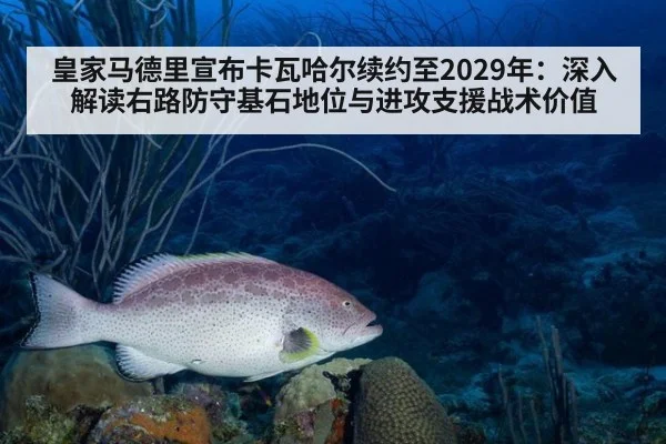 皇家马德里宣布卡瓦哈尔续约至2029年:深入解读右路防守基石地位与进攻支援战术价值